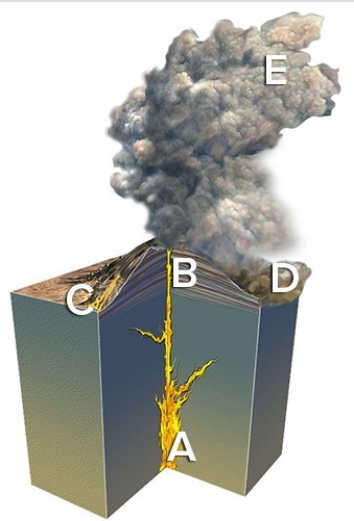 <strong>The site on the accompanying figure that would most likely form a rock that has a nonwelded texture with many fine particles is  </strong> A)A. B)B. C)C. D)D. E)E. <div style=padding-top: 35px> 