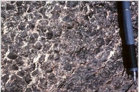 <strong>Which of the following rock photographs depicts a felsic igneous rock?</strong> A)   B)   C)   D)   <div style=padding-top: 35px> 