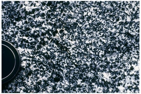 <strong>Which of the following rock photographs depicts an igneous rock that trapped gas?</strong> A)   B)   C)   D)   <div style=padding-top: 35px> 