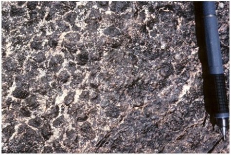 <strong>Which of the following rock photographs depicts an igneous rock that trapped gas?</strong> A)   B)   C)   D)   <div style=padding-top: 35px> 