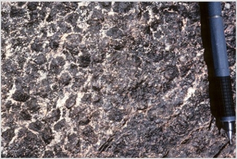 <strong>Which of the following photographs depicts an igneous rock where the magma cooled slowly at first and then had fast cooling?</strong> A)   B)   C)   D)   <div style=padding-top: 35px> 