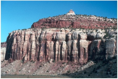What are some components of the landscape shown in this photograph?