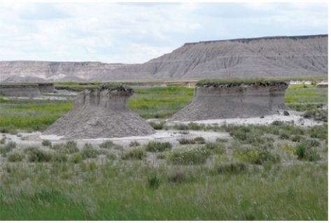 These pillars are remnants of layers,most of which have been stripped away by wind erosion.If this occurred in less than 5 years you might reasonably conclude that