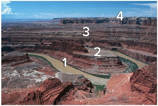 Which numbered layer represents the youngest layer?  