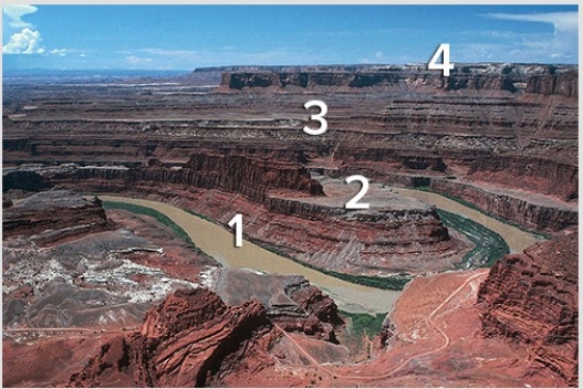 Which sequence of numbers reflects the order in which the layers were deposited?