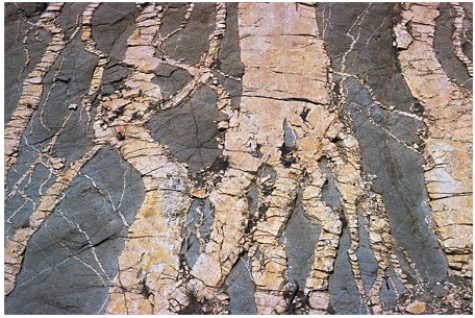 This photograph shows light-colored granite and darker diorite (both igneous rocks).Which of the following statements is true?