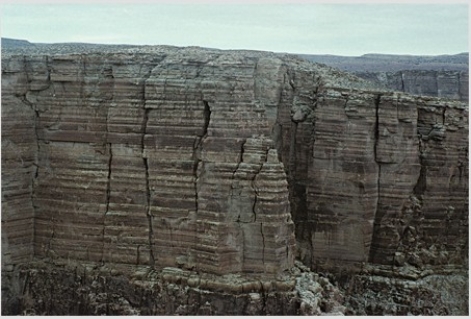 The oldest rocks in the column of limestone shown in the diagram are