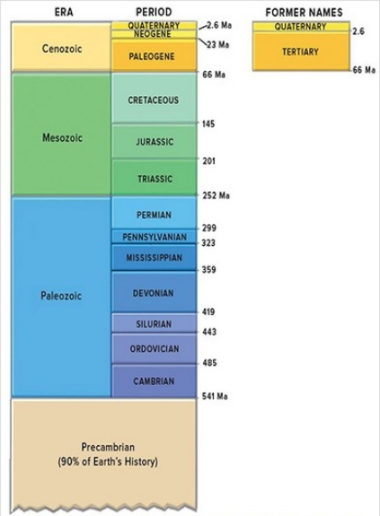 This figure shows the geologic timescale.Which period listed below would be part of the Paleozoic?