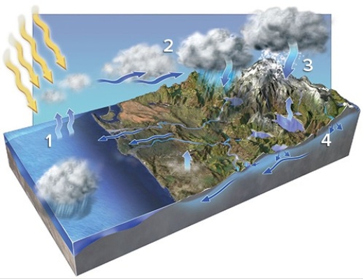 <strong>In which areas on the accompanying figure is condensation occurring?  </strong> A)1 and 2 B)2 and 3 C)3 and 4 D)1 and 3 E)2 and 4 <div style=padding-top: 35px> 