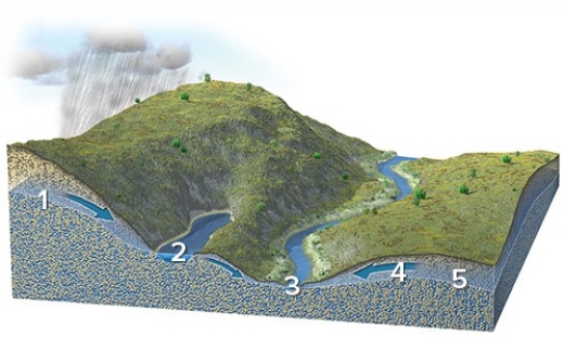 <strong>Each number on this figure refers to a location depicting groundwater in a subsurface material that is consistent in character across the entire figure.Of these locations,which one has the water table most clearly above the surface?  </strong> A)1 B)2 C)3 D)4 E)5 <div style=padding-top: 35px> 