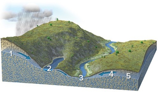 <strong>Each number on this figure refers to a location depicting groundwater in a subsurface material that is consistent in character across the entire figure.Of these locations,which one would have groundwater flowing to the left?  </strong> A)1 B)2 C)3 D)4 E)5 <div style=padding-top: 35px> 