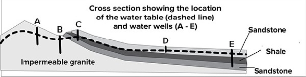 <strong>This cross section shows the location of 5 wells and the water table.Which well is most likely to be an artesian well?  </strong> A)Well A B)Well B C)Well C D)Well D E)Well E <div style=padding-top: 35px> 
