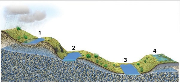 <strong>Which of these four lakes could be replenished by groundwater?  </strong> A)1 and 2 B)2 and 3 C)3 and 4 D)1 and 4 E)None of these are correct. <div style=padding-top: 35px> 