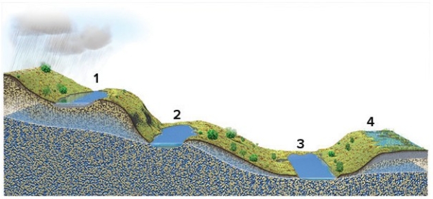 <strong>Which of these four lakes could only exist if they if they received water from precipitation or runoff from the land?  </strong> A)1 and 2 B)2 and 3 C)3 and 4 D)1 and 4 E)2 and 4 <div style=padding-top: 35px> 