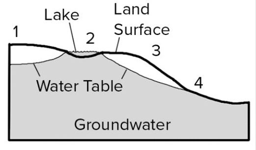 <strong>Where on this cross section would water at the surface become groundwater?  </strong> A)1,2,and 3 B)1 and 3 C)2 and 4 D)2 only E)4 only <div style=padding-top: 35px> 