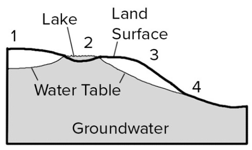 <strong>Where on this cross section would groundwater most likely flow out to the surface?  </strong> A)1,2,and 3 B)1 and 3 C)2 and 4 D)2 only E)4 only <div style=padding-top: 35px> 