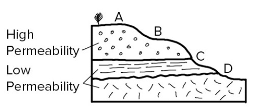 <strong>Which of the sites on this cross section would be the most likely place for a spring?  </strong> A)A B)B C)C D)D <div style=padding-top: 35px> 