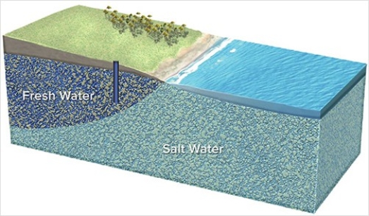 <strong>What could happen if this well is overpumped?  </strong> A)It will run out of water and become a dry well. B)It will yield more water over time. C)The water table will drop,causing sand to flow into the well. D)The bottom of the lens of fresh water will rise,causing the well to draw in salt water. <div style=padding-top: 35px> 
