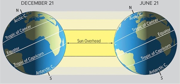 <strong>Observe where the sun is overhead for most of the year in the Tropics.Temperatures are most constant along the </strong> A)Arctic Circle. B)Tropic of Cancer. C)Equator. D)Tropic of Capricorn. E)Antarctic Circle.