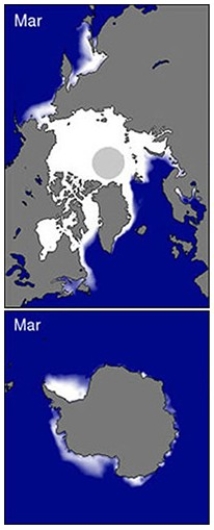 <strong>Which factor best explains the difference in March sea ice between March in the northern hemisphere and March in the southern hemisphere? </strong> A)Low sun angle throughout the year B)High albedo for all surfaces C)Seasonal variation in daylength D)Continentality for all surfaces