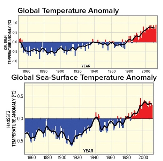 <strong>The main National Academy of Science conclusion on global warming since the mid-1800s states </strong> A)insufficient data exists to definitively state global warming has occurred. B)temperatures have remain unchanged. C)temperatures have risen around 0.5°C. D)temperatures have risen 6°C.