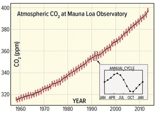 <strong>Between 1960 and 2010,atmospheric greenhouse CO₂has increased by </strong> A)400 ppm. B)320 ppm. C)80 ppm.