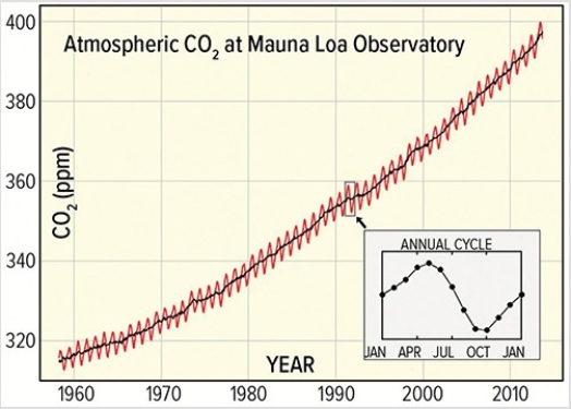<strong>Calculate the percent increase in CO₂between 1960 (at 320 ppm)and 2010 (at 400 ppm).The best answer is </strong> A)20%. B)25%. C)80%. D)400%.