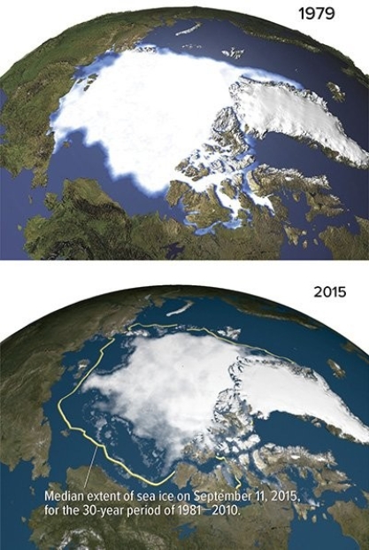<strong>The biggest loss of sea ice between 1979 and 2015 appears to be along the </strong> A)north shore of Russia. B)east shore of Greenland. C)west shore of Greenland. D)north shore of Alaska.