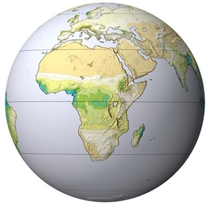 <strong>This globe,from the opening two-page spread of the Climate chapter,shows average annual precipitation (blue and green are highest; tan is lowest).What is the main factor causing northern Africa to have very low amounts of precipitation? </strong> A)Trade winds B)Westerlies C)Downward flow of dry air in subtropics D)Upward flow of dry air in the mid-latitudes