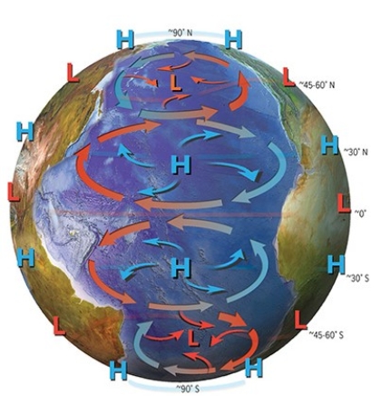 <strong>In the Northern Hemisphere,warm currents tend to flow from the ________.In the Southern Hemisphere,cold currents tend to flow from the ________. </strong> A)south; south B)north; north C)south; north D)north; south