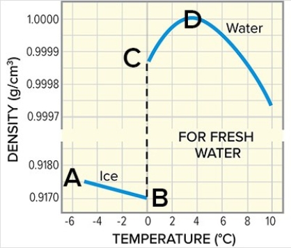 <strong>At what point on the graph does the density of water begin to decrease? ________ The temperature at this point is ________°C. </strong> A)A; -4°C B)B; 0°C C)C; 0°C (but higher density) D)D; 4°C