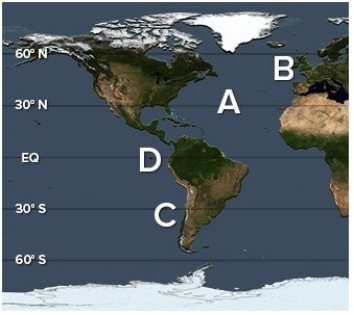 <strong>Where on the following world map are the highest salinities? </strong> A)A B)B C)C D)D