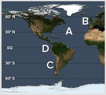 <strong>Where on the following world map are the lowest salinities? </strong> A)A B)B C)C D)D