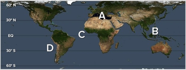<strong>The world's largest warm pool is located at </strong> A)A. B)B. C)C. D)D.