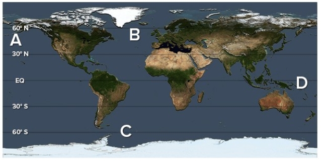 <strong>Which of the following locations is associated with a zone of upwelling for the Antarctic bottom waters (AABW)? </strong> A)A B)B C)C D)D