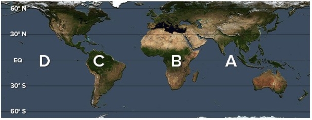<strong>Which of the following letters best represents a location where sinking air in a Walker cell is most typical? </strong> A)A B)B C)C D)D