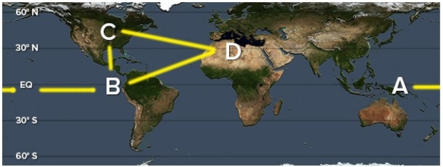 <strong>Walker-like cells are found between: </strong> A)A and B B)B and C C)C and D D)B and D