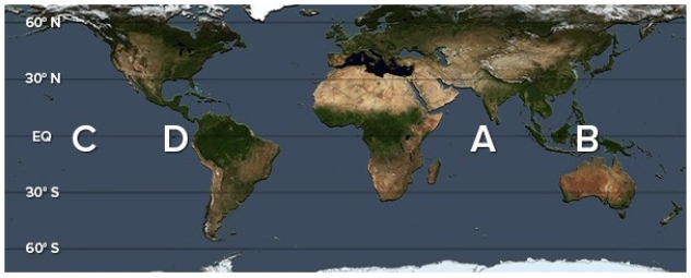 <strong>During a La Niña phase,excess warm water accumulates in </strong> A)A. B)B. C)C. D)D.