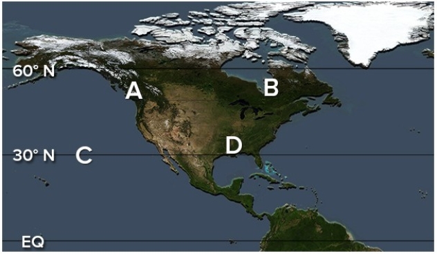 <strong>Which of the following locations would be characterized by warmer conditions than during an El Niño? </strong> A)A B)B C)C D)D