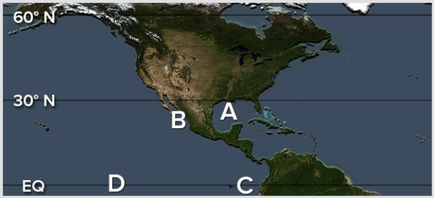 <strong>During the cold phase of the El Niño,the warmest waters are located at </strong> A)A. B)B. C)C. D)D.