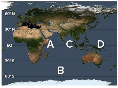 <strong>A negative phase of the Indian Ocean Dipole (IOD)results in warmer than average surface waters at ________ and cooler than average waters at ________. </strong> A)A; C B)A; D C)C; A D)C; B