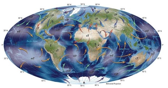 <strong>The cP air masses pictured here originate  </strong> A)over land masses and bring cold air during the winter. B)over land masses and bring warm air during the summer. C)over water and bring warm air during the summer. D)over water and bring cold air during the winter. <div style=padding-top: 35px> 