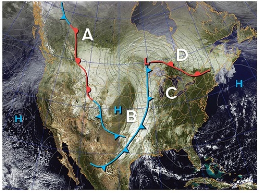 <strong>Find the largest cold front located on the map.The likely air mass to the west of the cold front is a ________ mass that is likely to be ________ than the air mass to the east.  </strong> A)mT; moister B)mP; moister C)cP; drier D)cP; moister <div style=padding-top: 35px> 