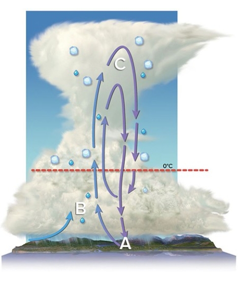 <strong>Where in the cloud is Bergeron process going to be most vigorous?  </strong> A)A B)B C)C <div style=padding-top: 35px> 