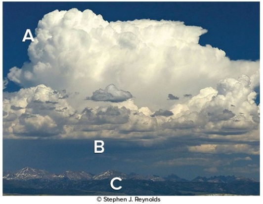 <strong>Which of the following represents the correct charge sequence to create lightning?  </strong> A)A,negative; B,positive; C,negative B)A,positive; B,negative; C,positive C)A,positive; B,negative; C,negative D)A,negative; B,negative; C,positive <div style=padding-top: 35px> 