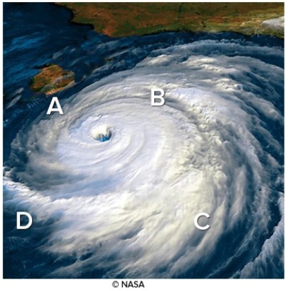 <strong>Where will the storm surge be greatest for this cyclone or hurricane making land fall in Louisiana?  </strong> A)A B)B C)C D)D <div style=padding-top: 35px> 