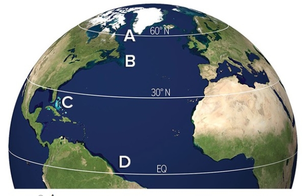 <strong>Which of the following locations would have the lowest specific humidity? </strong> A)A B)B C)C D)D
