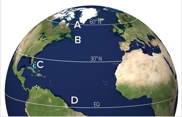 <strong>Which of the following locations would have the highest specific humidity? </strong> A)A B)B C)C D)D