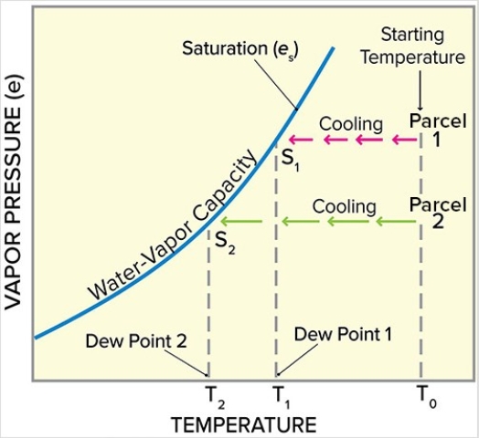 <strong>Consider the characteristics of two parcels of air starting at T0.Which of the following statements is true regarding parcel of air 1 and parcel of air 2? </strong> A)Parcels 2 and 1 have the same amount of water vapor in order to reach saturation. B)Parcel 2 has less water vapor than 1 and will need to cool more than 1 to reach saturation. C)Parcel 2 has more water vapor than 1 and will need to cool more than 1 to reach saturation. D)Parcel 2 is warmer than 1 and will need to cool more than 1 to reach saturation.