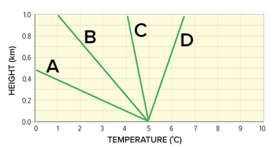 <strong>Which of the following environmental lapse rates represent stable inversion conditions? </strong> A)A B)B C)C D)D